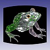 UGI-Frog05